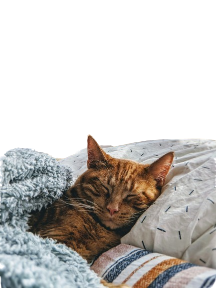 philcreates pdalzg0yn 8 unsplash removebg preview